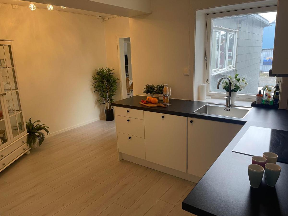 Romslig Sentralt I Sentrum Apartment