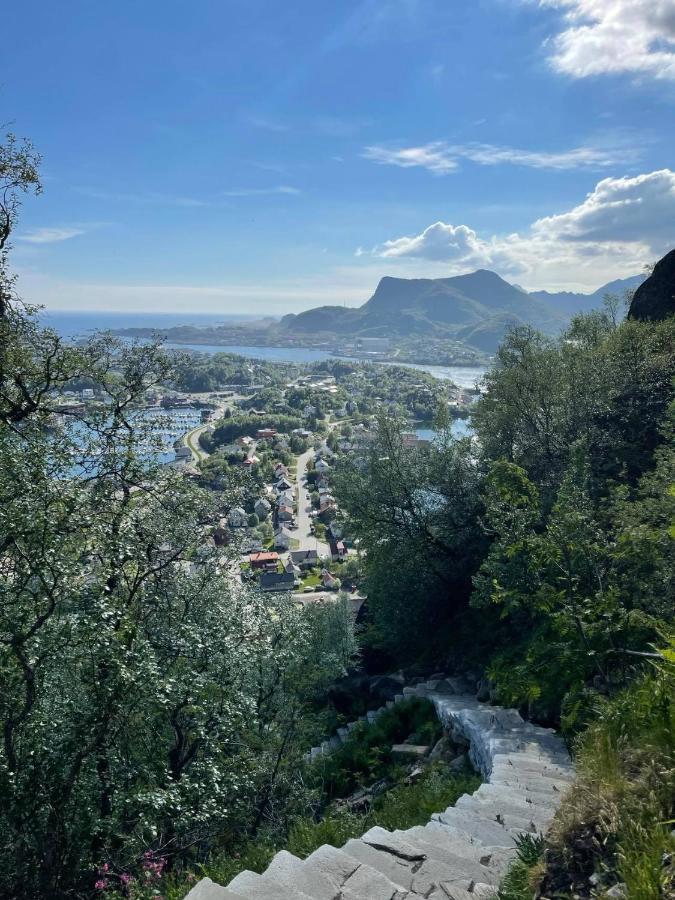 Apartment Romslig Sentralt I Sentrum